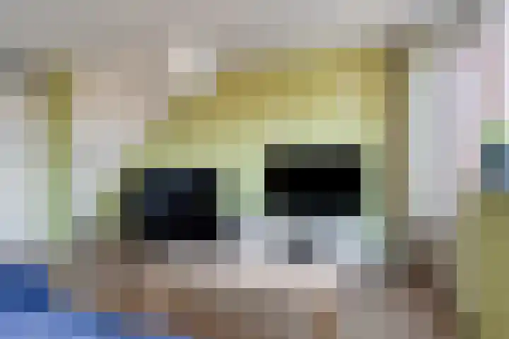 Krekelkleuven 17 Assen thumbnail 8
