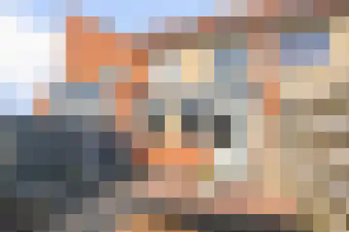 Krekelkleuven 20 Assen thumbnail 35