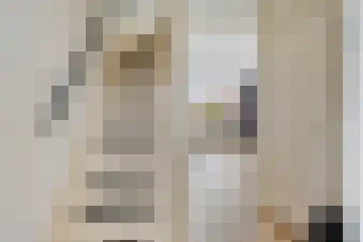 Krekelkleuven 23 Assen thumbnail 11