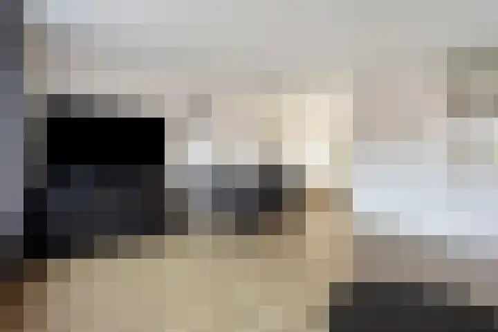 Krekelkleuven 23 Assen thumbnail 14