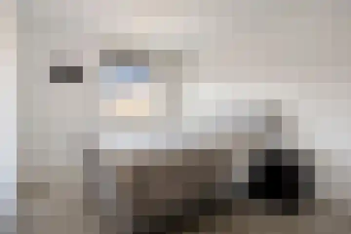 Krekelkleuven 23 Assen thumbnail 22