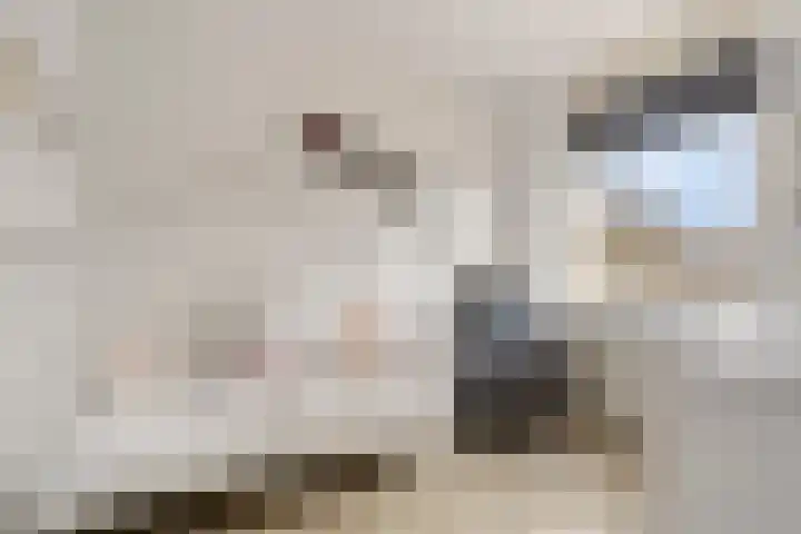 Krekelkleuven 23 Assen thumbnail 27