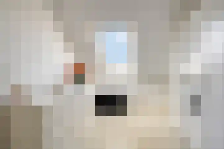 Krekelkleuven 23 Assen thumbnail 34