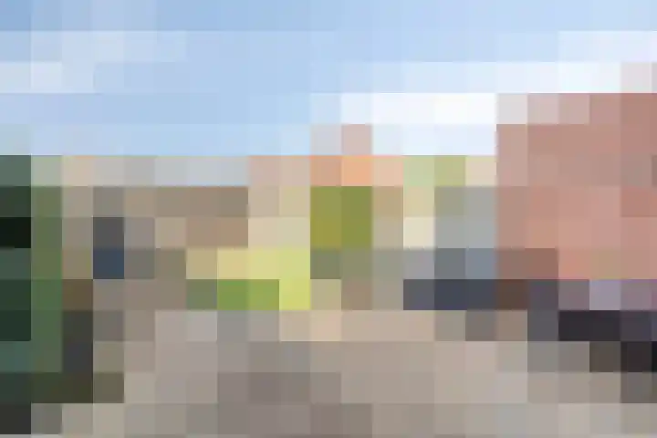 Krekelkleuven 23 Assen thumbnail 37