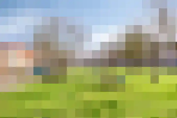 Krekelkleuven 23 Assen thumbnail 44