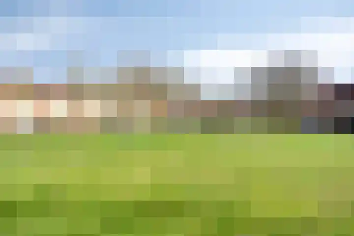 Krekelkleuven 23 Assen thumbnail 45