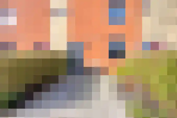 Krekelkleuven 23 Assen thumbnail 9