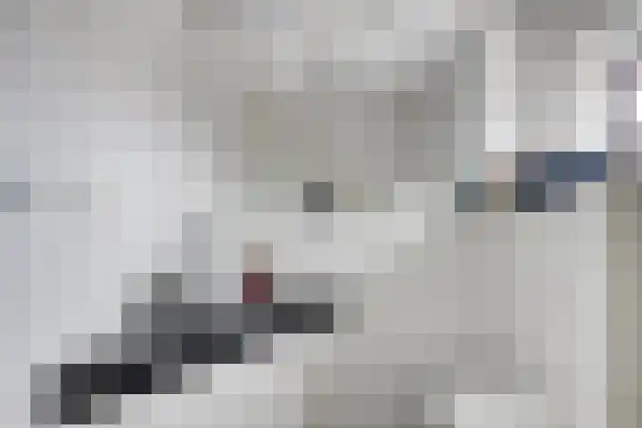 Krekelkleuven 28 Assen thumbnail 20