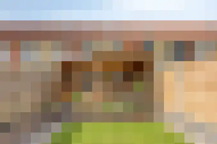 Krekelkleuven 28 Assen thumbnail 23