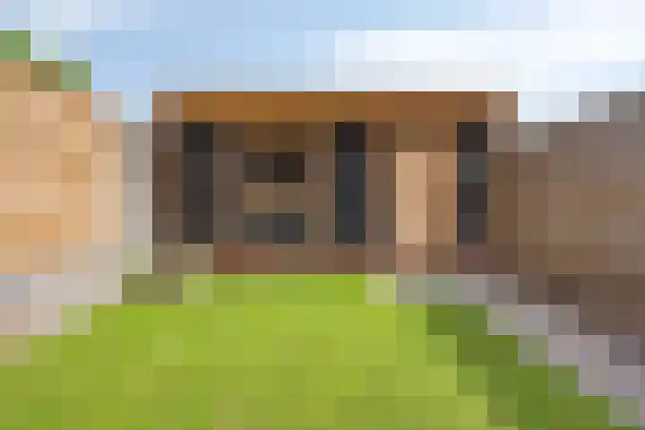 Krekelkleuven 28 Assen thumbnail 30