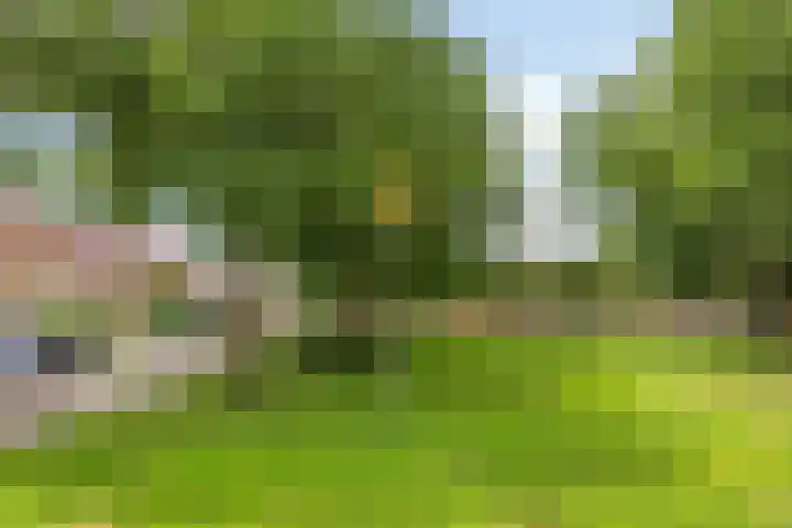 Krekelkleuven 28 Assen thumbnail 34