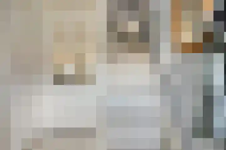 Krekelkleuven 28 Assen thumbnail 5