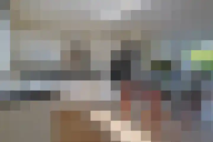 Krekelmeent 12 Hilversum thumbnail 10