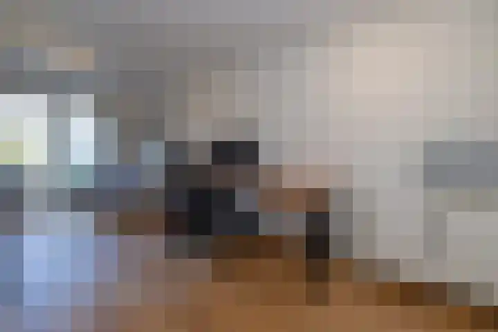 Krekelmeent 12 Hilversum thumbnail 13