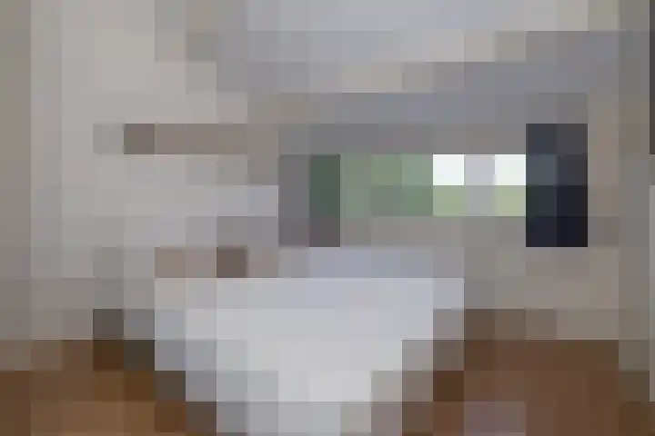 Krekelmeent 12 Hilversum thumbnail 18