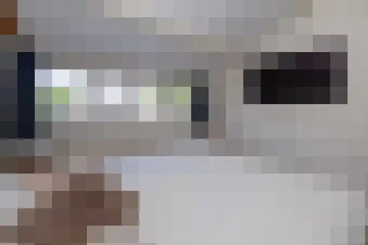Krekelmeent 12 Hilversum thumbnail 19