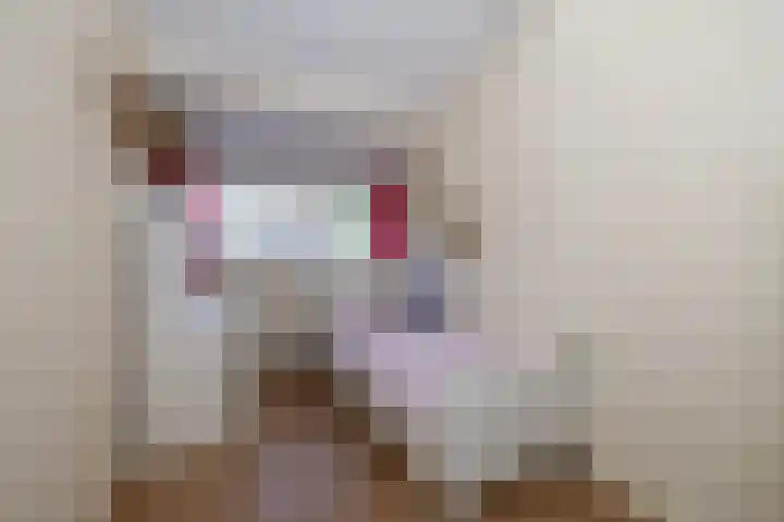 Krekelmeent 12 Hilversum thumbnail 21