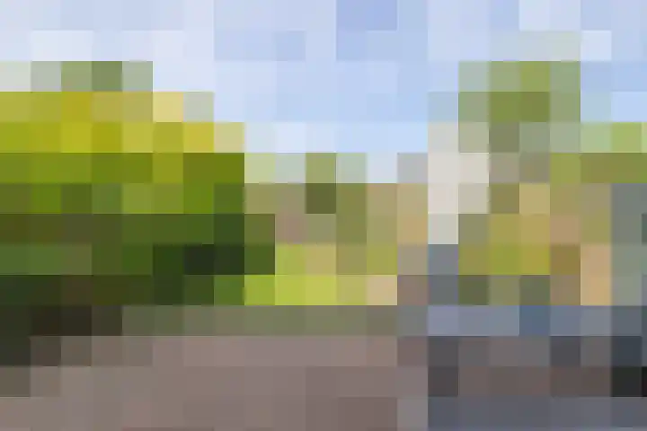 Krekelmeent 12 Hilversum thumbnail 23