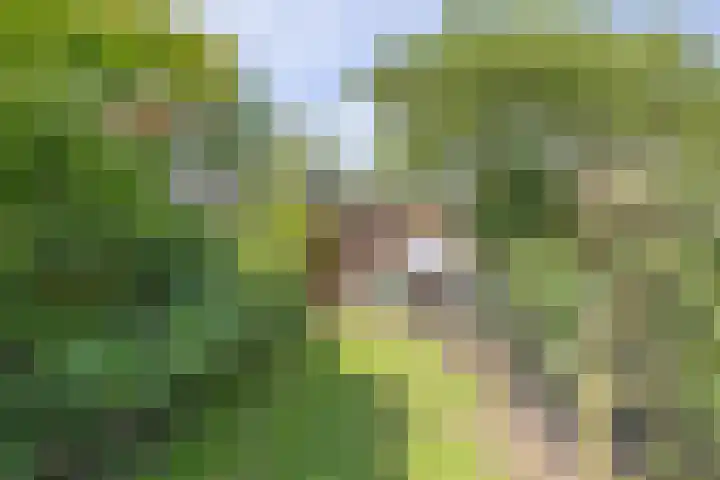 Krekelmeent 12 Hilversum thumbnail 25
