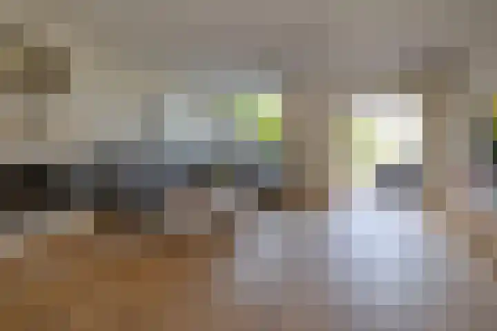 Krekelmeent 12 Hilversum thumbnail 5