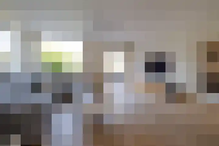 Krekelmeent 12 Hilversum thumbnail 8