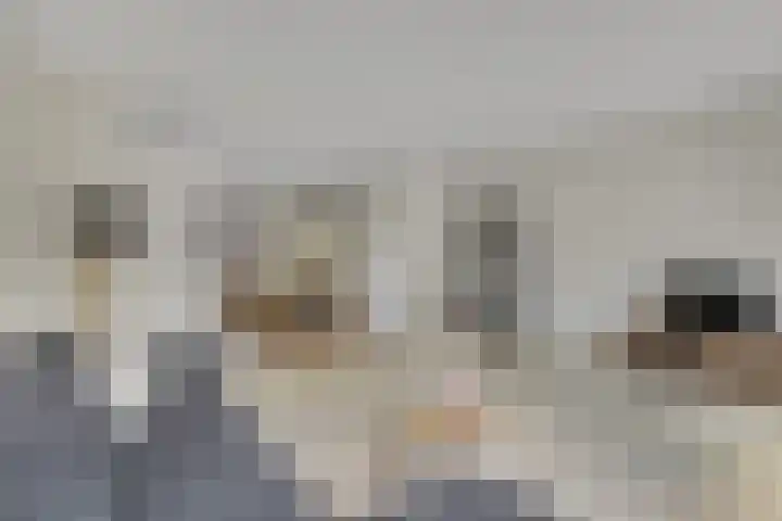 Krekelmeent 55 Hilversum thumbnail 11