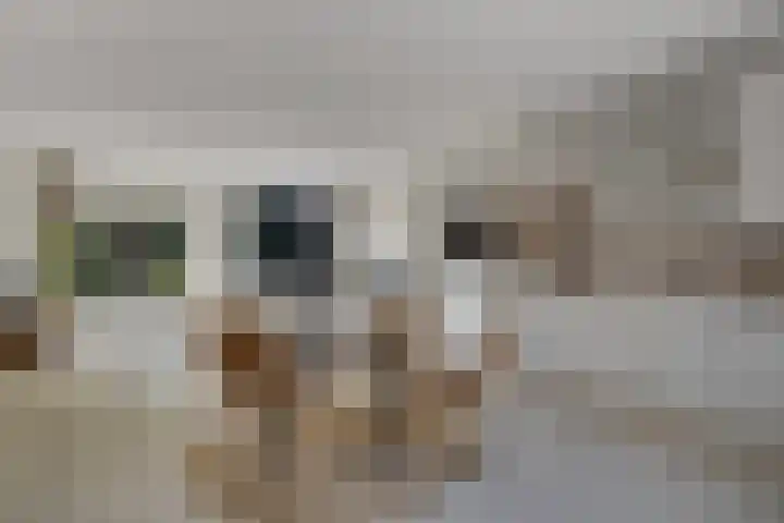 Krekelmeent 55 Hilversum thumbnail 12