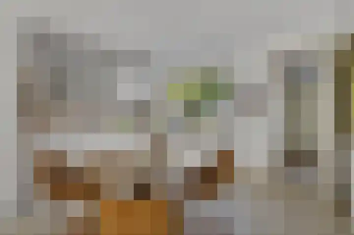 Krekelmeent 55 Hilversum thumbnail 13