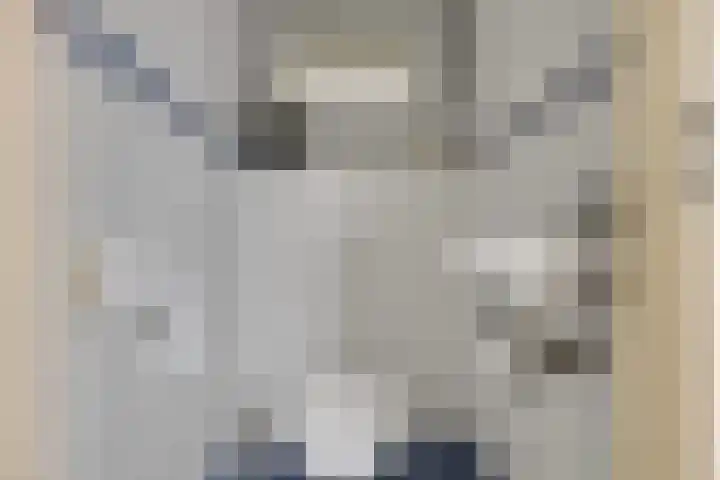 Krekelmeent 55 Hilversum thumbnail 15