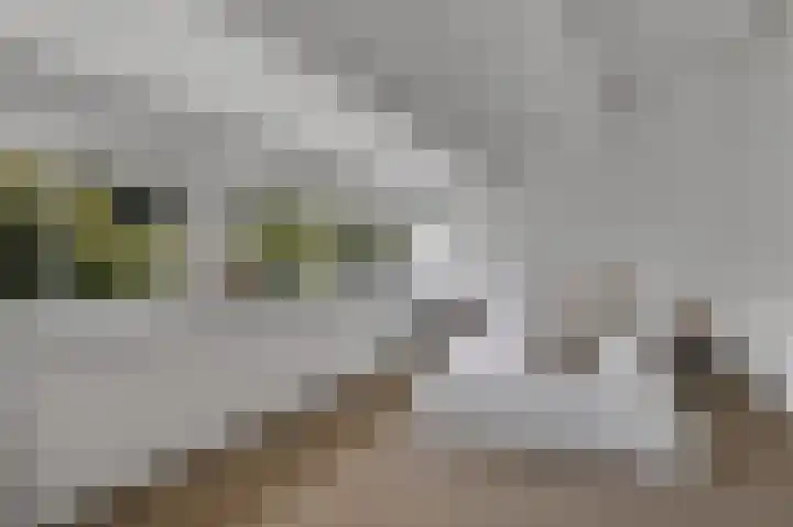 Krekelmeent 55 Hilversum thumbnail 26
