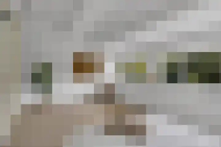 Krekelmeent 55 Hilversum thumbnail 27