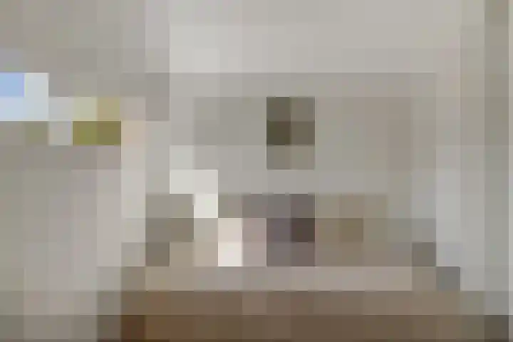 Krekelmeent 55 Hilversum thumbnail 28
