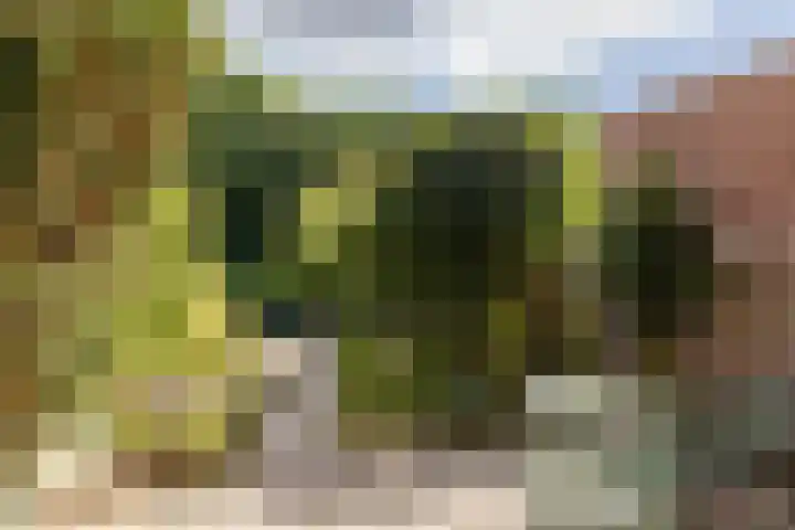 Krekelmeent 55 Hilversum thumbnail 31