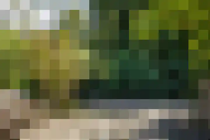 Krekelmeent 55 Hilversum thumbnail 32