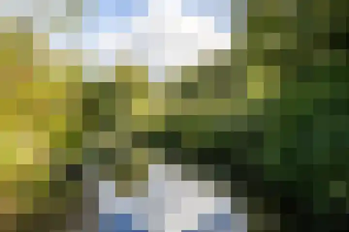 Krekelmeent 55 Hilversum thumbnail 4