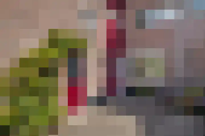 Krekelmeent 55 Hilversum thumbnail 5