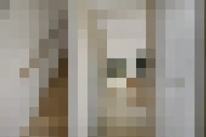 Krekelmeent 55 Hilversum thumbnail 6