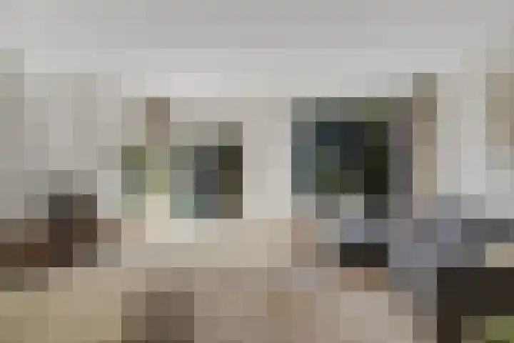 Krekelmeent 55 Hilversum thumbnail 8