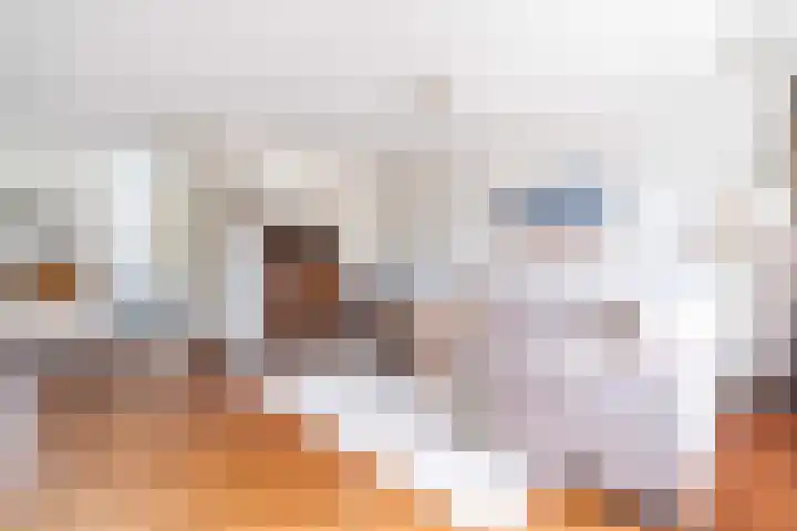 Krekelpad 20 Delft thumbnail 11