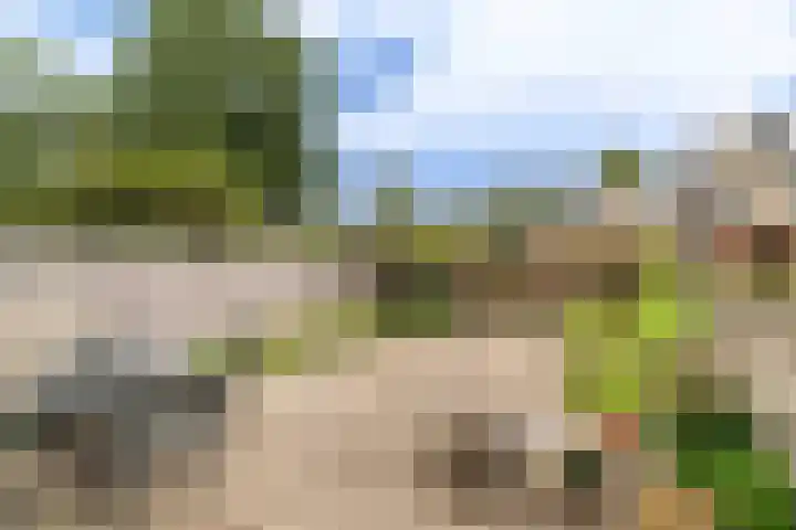 Krekelpad 20 Delft thumbnail 18