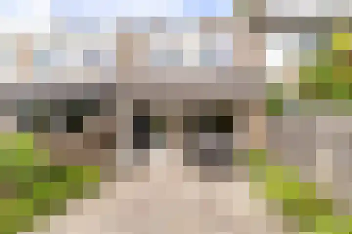 Krekelpad 20 Delft thumbnail 22