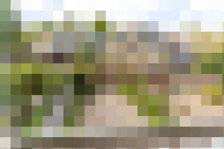 Krekelpad 20 Delft thumbnail 29