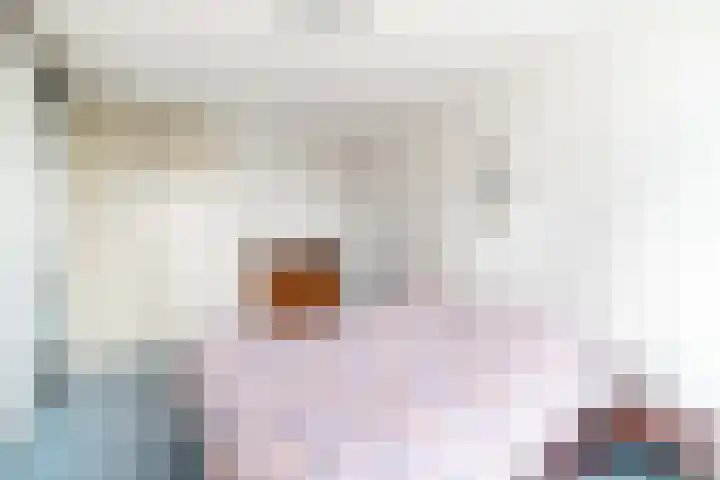 Krekelpad 20 Delft thumbnail 31