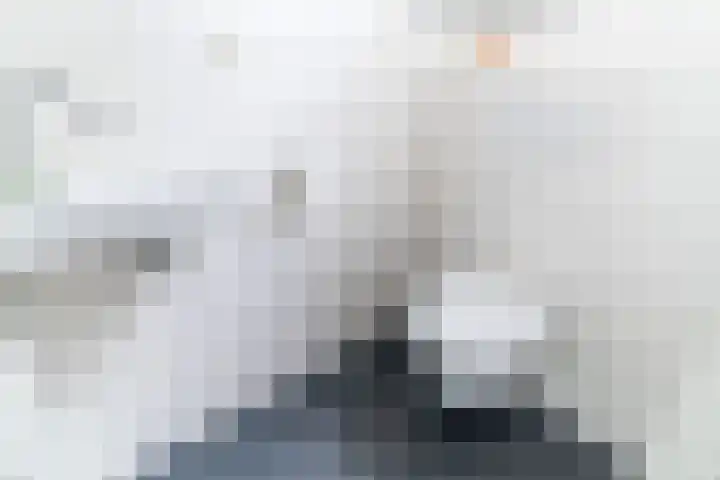 Krekelpad 20 Delft thumbnail 37