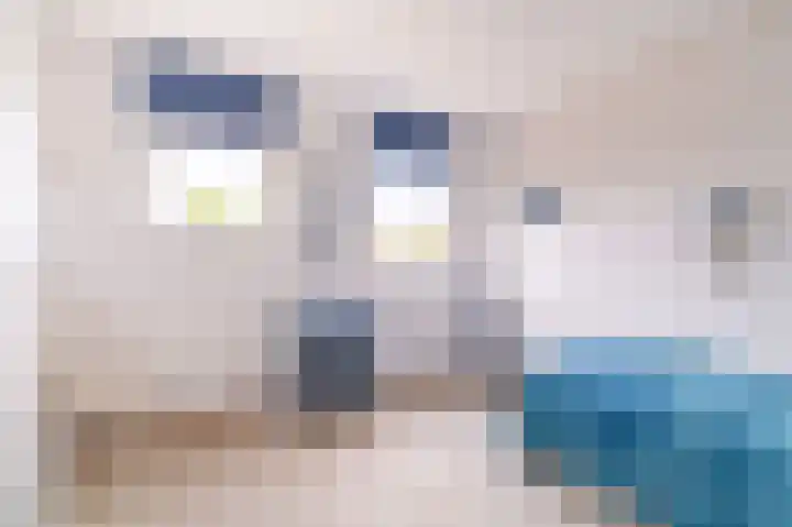 Krekelpad 20 Delft thumbnail 41