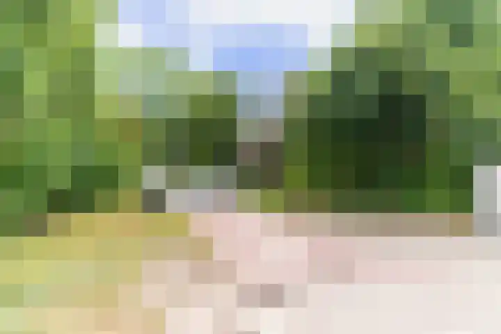 Krekelpad 20 Delft thumbnail 6