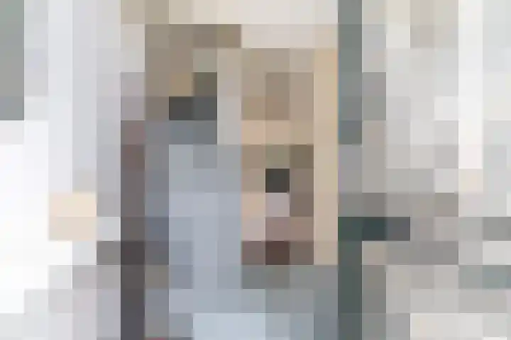 Krekelpad 20 Delft thumbnail 8