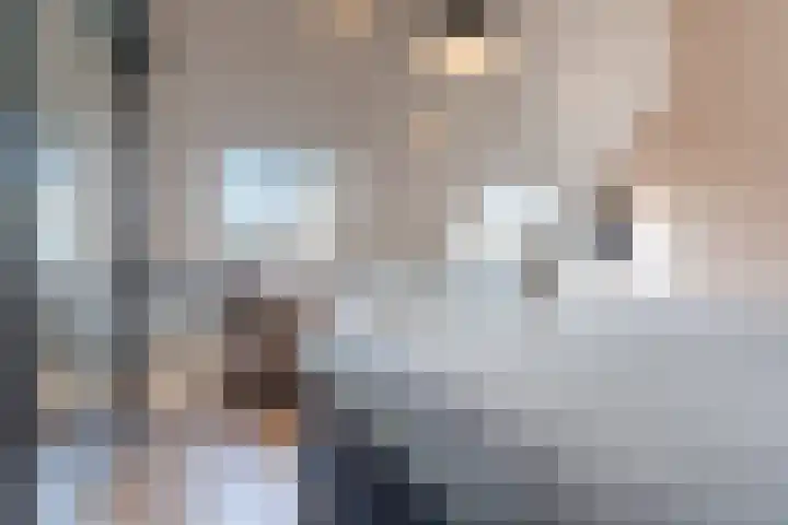 Krekelshofstraat 18 Veghel thumbnail 30