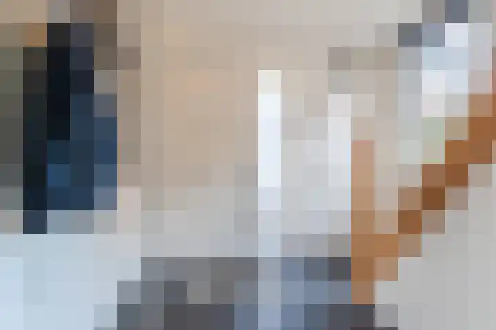 Krekelshofstraat 18 Veghel thumbnail 4