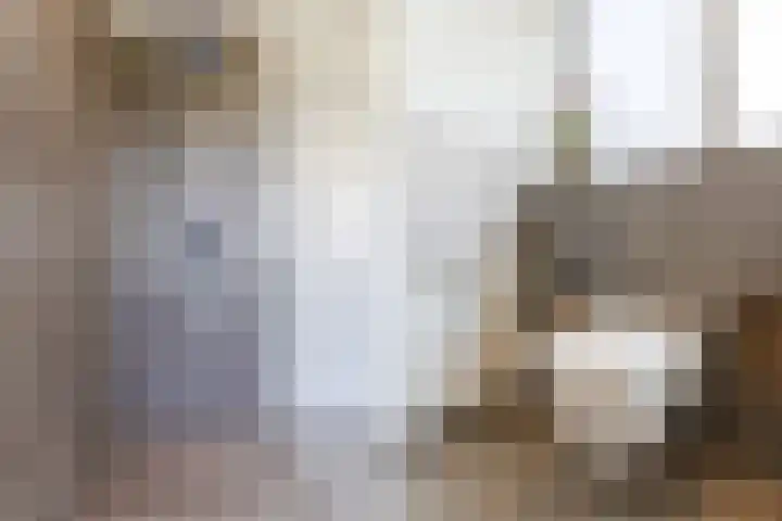 Krekelshofstraat 18 Veghel thumbnail 43
